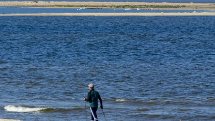 Mikoszewo jest małą miejscowością nad Bałtykiem. To właśnie tutaj Wisła uchodzi do Bałtyku.