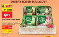 Морозиво Zielona Budka