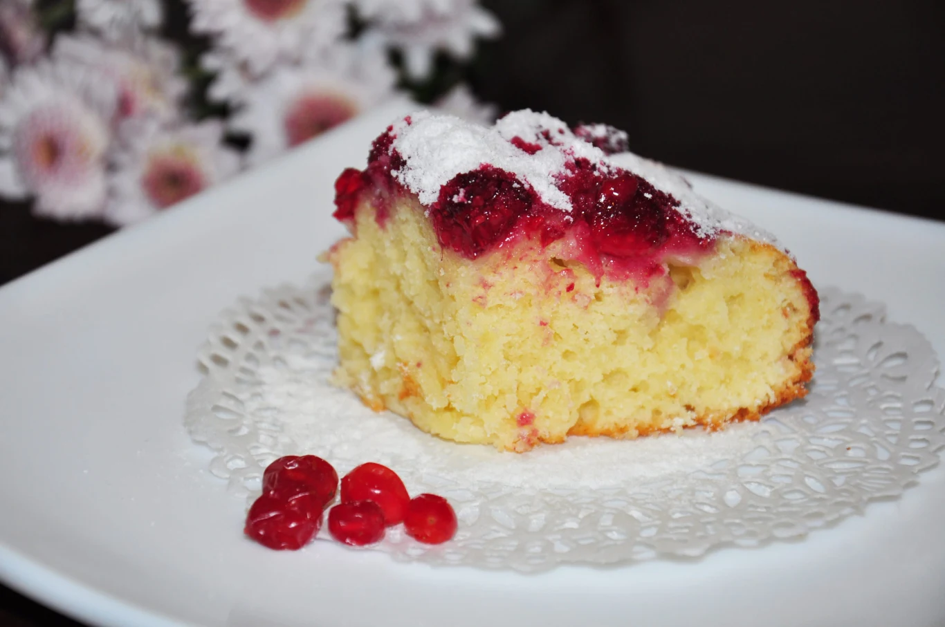 Wilgotne ciasto z wiśniami przed podaniem oprósz cukrem pudrem Kawałek jasnego, puszystego ciasta z wiśniami oprószony cukrem pudrem, podany na białym talerzu z porzeczkami.