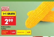 Kukurydza Polski
