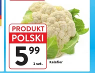 Kalafior Polski