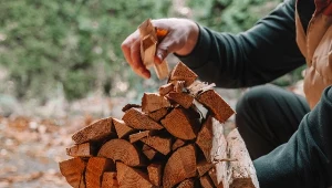 Drewno na opał się teraz opłaca? Zajrzeliśmy do aktualnych cenników