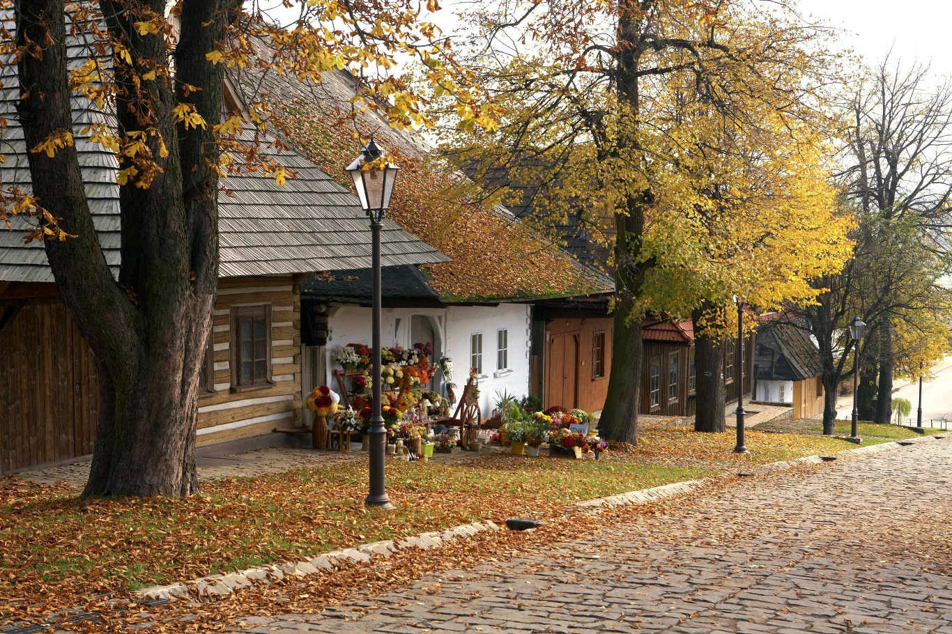 Jesienią Lanckorona wygląda jak z bajki 1 Rząd tradycyjnych drewnianych domów z białymi ścianami, udekorowanych jesiennymi wiązankami i dyniami, otoczony złocistymi drzewami przy brukowanej ulicy.