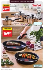 Niezbędnik grzybiarza - Biedronka