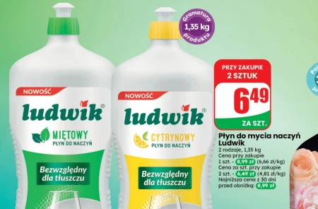 Засіб для миття посуду Ludwik