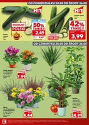 Mocny start od poniedziałku - Kaufland