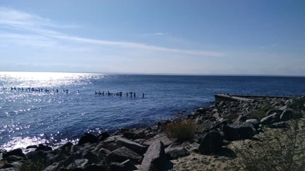 Na Półwyspie Helskim znajdują się jedne z najdłuższych plaż nad Bałtykiem w Polsce/materiały własne