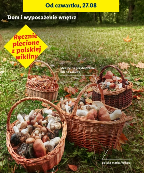 Wiklinowe kosze Wikpol za 79,99 zł w Lidlu Cztery wiklinowe kosze wypełnione świeżo zebranymi grzybami, ustawione na trawie w otoczeniu natury.