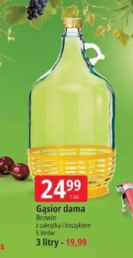 Gąsior BROWIN