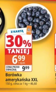 Borówka amerykańska O...