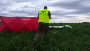 Katastrofa szybowca w Lesznie. Nie żyje 67-letni pilot