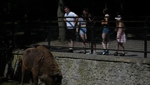 Stołeczne zoo zamknięte z powodu wiatru