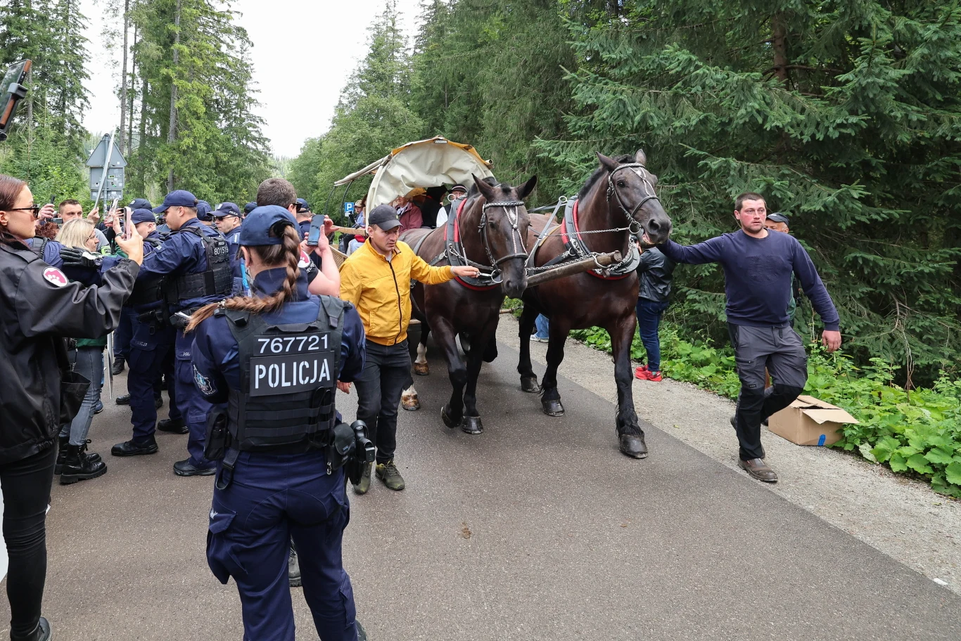 Wielu policjantów zatrzymuje dwukonny zaprzęg prowadzony przez mężczyznę w otoczeniu ludzi i leśnej scenerii.
