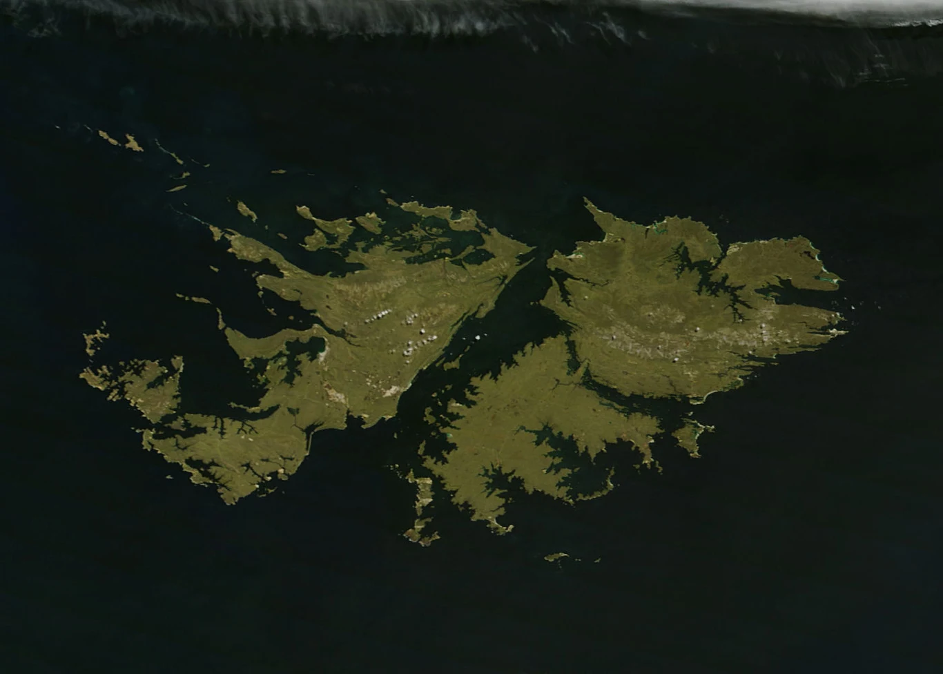 Zdjęcie satelitarne Falklandów