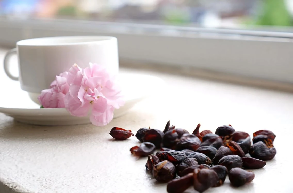 Cascara zawiera kofeinę, dlatego może działać pobudzająco. Biała filiżanka z różowym kwiatem na spodku oraz rozsypane pestki na jasnej powierzchni przy oknie.