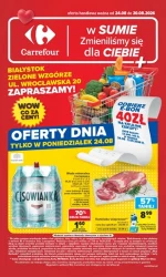 Oferty dnia w wyjątkowych cenach - Carrefour