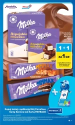 Oferty dnia w wyjątkowych cenach - Carrefour