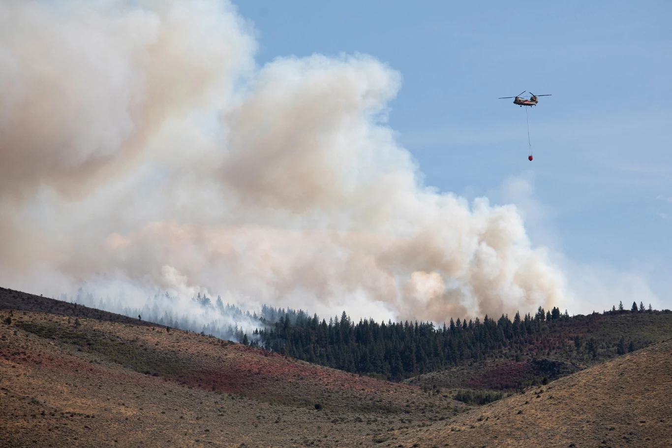 Walka z pożarem Hawk Fire w Nevadzie Chmury dymu unoszące się nad lasem w Nevadzie, po prawej stronie samolot gaśniczy.