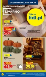 Domowe hity w dobrych cenach - Lidl