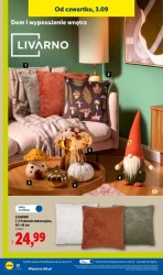 Domowe hity w dobrych cenach - Lidl
