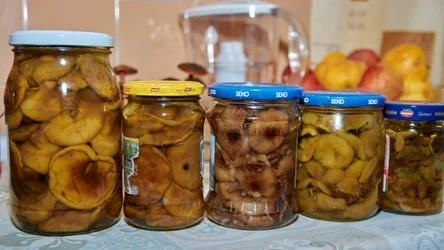 Tak marynuję grzyby bez pasteryzacji. Wychodzą jędrne i aromatyczne. 