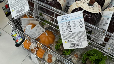 Pepco ma nową kolekcję do domu. Drewno, figi i jesienne kolory za grosze