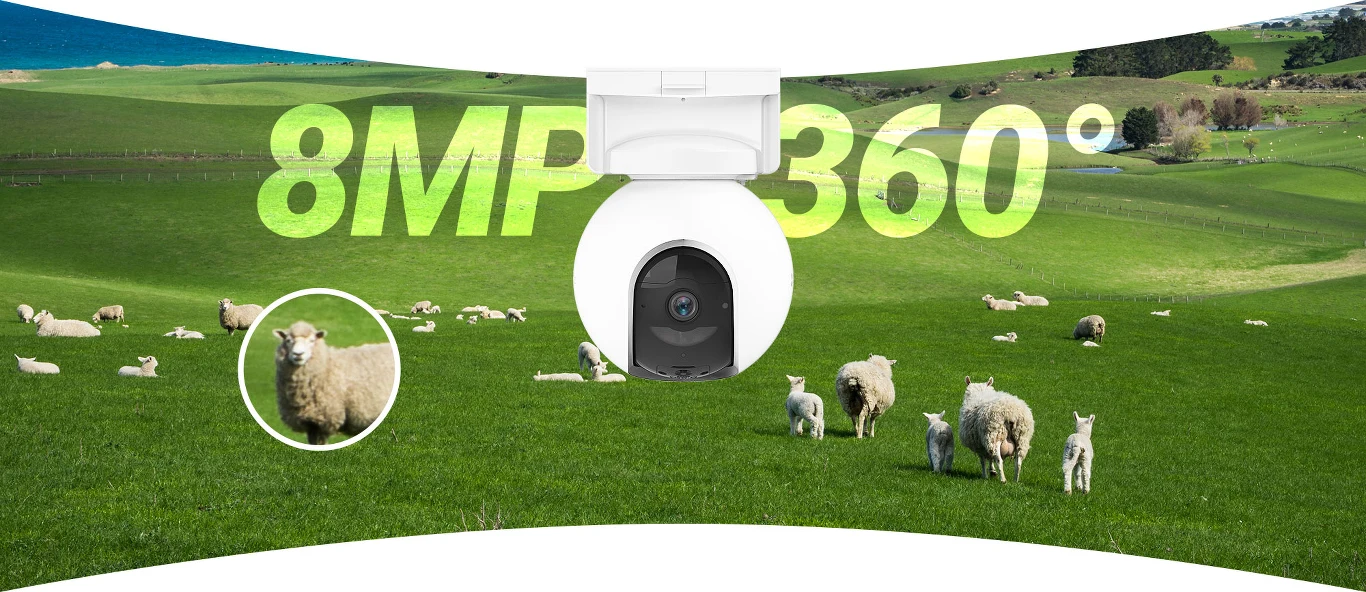Kamera monitorująca z funkcją 360°, umieszczona nad zieloną łąką, na której pasą się owce, z dużym oznaczeniem rozdzielczości 8MP w tle.