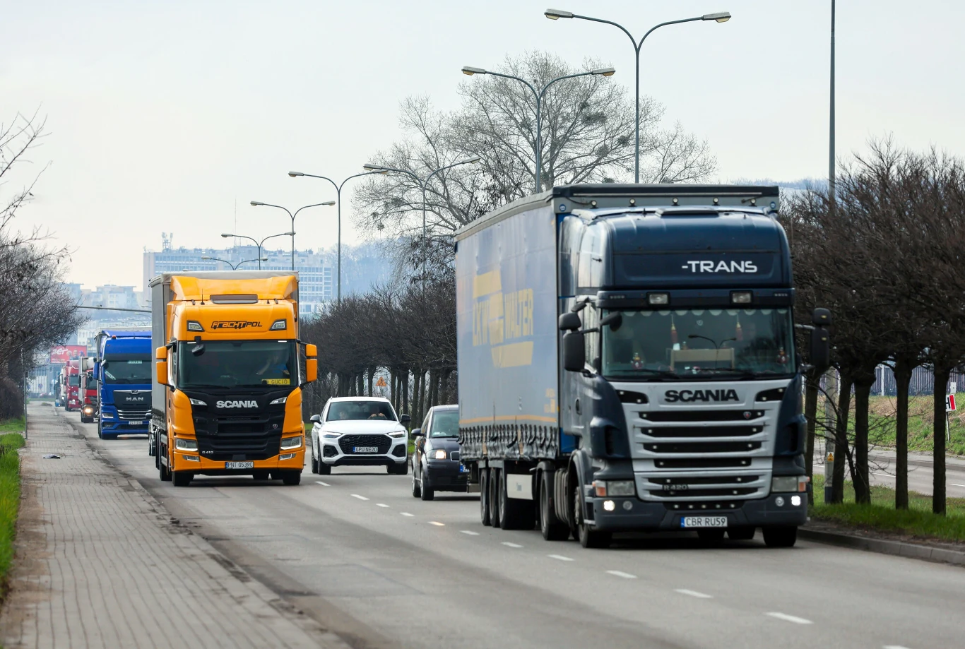 Niemcy ułatwiają zdobycie kwalifikacji kierowcom z Polski. Kolumna ciężarówek Scania na ulicy w Niemczech, po lewej żółta ciężarówka, z tyłu biały samochód osobowy.