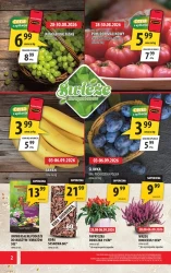 Promocje na koniec lata - Arhelan