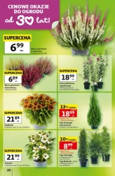 Wyprawka szkolna w supercenach - Auchan