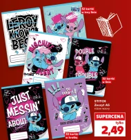 Zeszyt Stitch