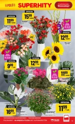 Świeżość i bogactwo lady! - POLOmarket