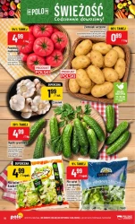 Świeżość i bogactwo lady! - POLOmarket