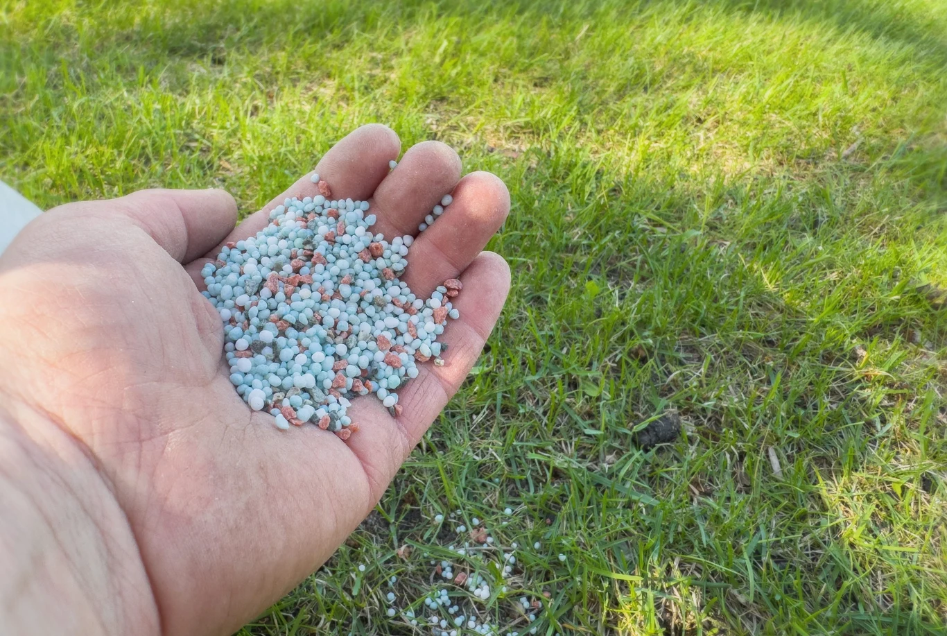 Dłoń trzymająca wielobarwne granulki nawozu nad zieloną trawą.