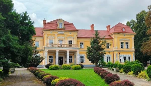 Mogliśmy mieć własny Wersal? Polski dwór skradł serce francuskiego króla