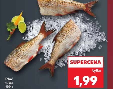 Тарган