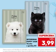 Teczka Interdruk