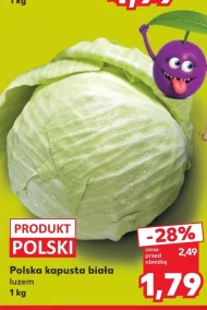 Kapusta biała Polski