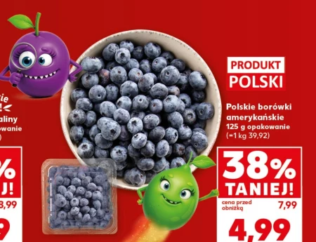 Чорниця Polski