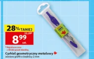Циркуляр Auchan