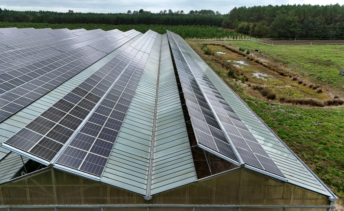 Instalacje agrowoltaiczne zamontowano m.in. we Francji, Niemczech, Holandii, Hiszpanii, czy we Włoszech. Duża szklarnia pokryta panelami fotowoltaicznymi, otoczona terenami zielonymi i lasem w tle.