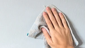 Sprawdzony sposób na wykwity pleśni. Ściana będzie jak świeżo pomalowana
