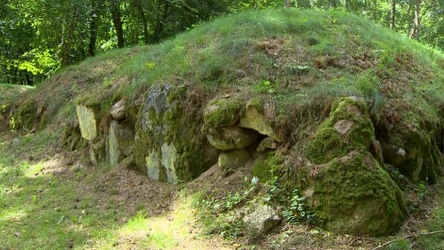 Polskie grobowce to miejsca pochowku ludzi z epoki kamienia, z okresu neolitu. Mają 5,5 tysiąca lat.