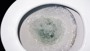 Zacieki w muszli pojawiają się często, ale podgrzany ocet poradzi sobie z nimi doskonale
