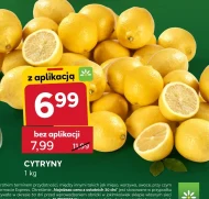 Cytryna O!mięso