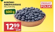 Borówki amerykańskie Polski