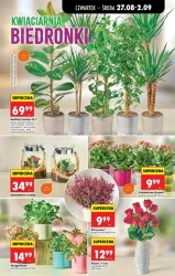 Końcówka lata w dobrych cenach - Biedronka