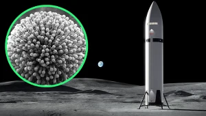Astronauci misji Artemis IV mogą mieć duży problem z mikrobami na Księżycu. Naukowcy szukają na nie sposobu.