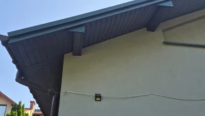 Spryskaj kryjówkę kuny. Nie wróci na strych ani pod maskę samochodu