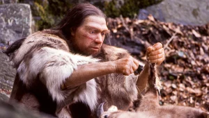 Szkielety neandertalczyków podważają znane przekonanie o ewolucji